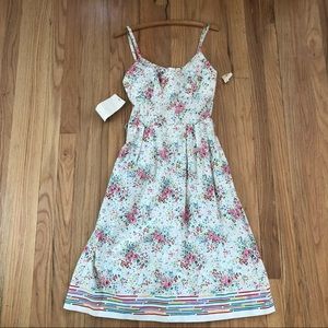 RARE Deadstock Lanz California Poppy dress NWT